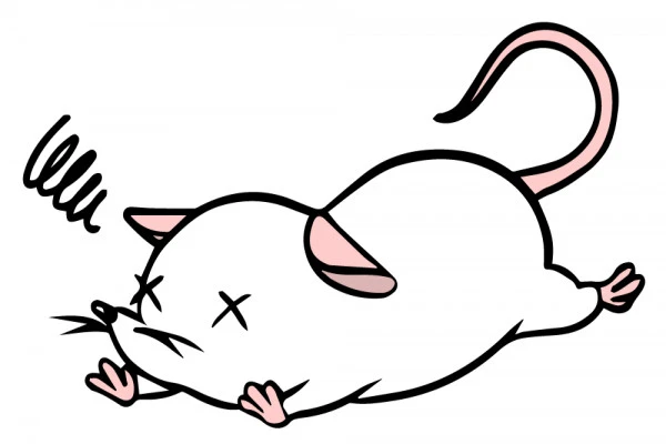 転んでいるネズミ