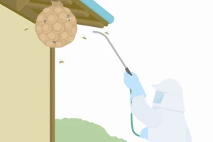 軒下のスズメバチの巣を駆除する害虫駆除サービスのイラスト