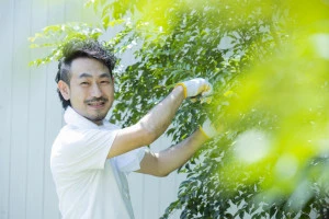 専門業者による庭木の剪定の様子