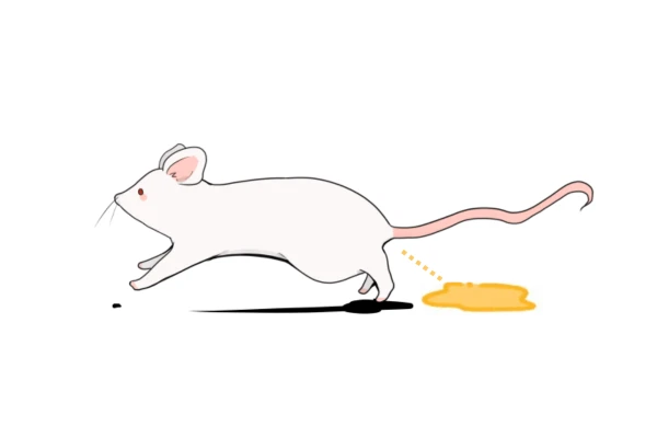 ネズミが尿をしているラットサイン