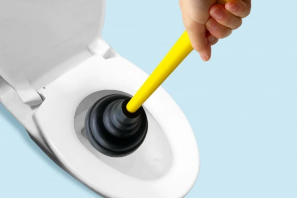 トイレにラバーカップを使用しようとする様子