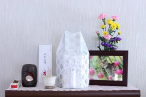 家の中に飾られた愛猫の祭壇の写真