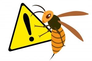スズメバチに注意のイラスト