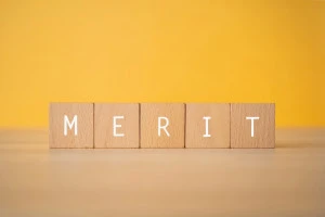 「MERIT」と書かれた積み木の画像