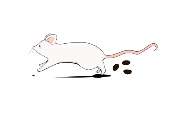 ネズミがフンをしているラットサイン