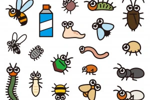 様々な害虫のイラスト