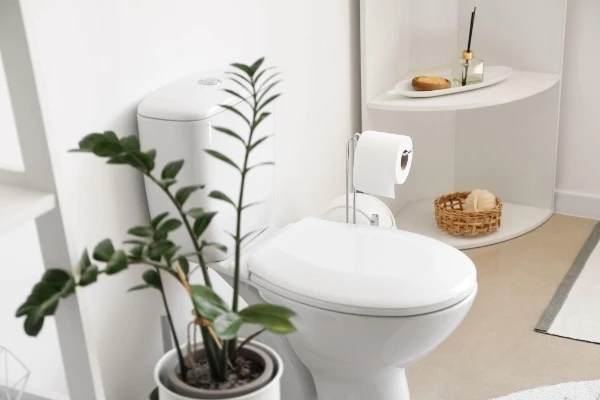 トイレのイメージ