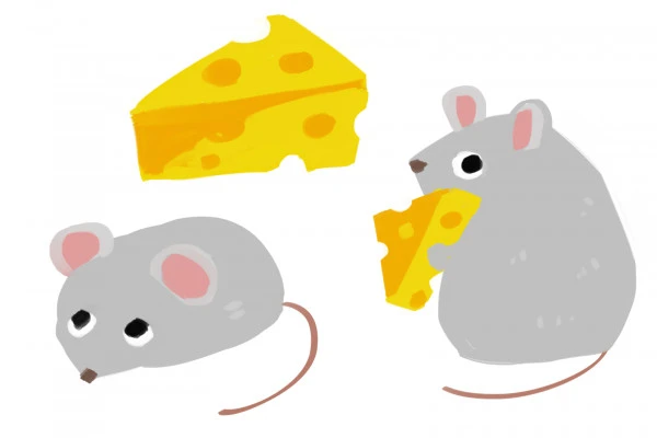 ネズミがチーズを食べている様子