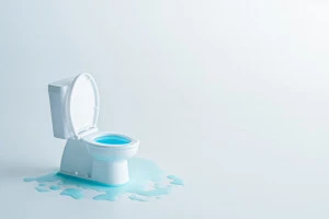水があふれているトイレの写真