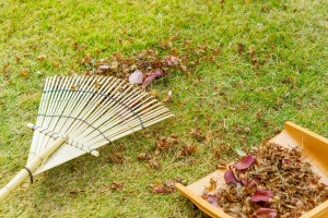 芝生の上の竹熊手と落ち葉の乗ったてみの写真