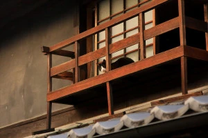 レトロなベランダで寛ぐ猫の写真