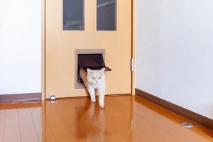 ペット専用ドアを通り抜ける猫の写真