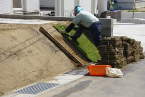 芝生のお手入れを行う専門事業者の写真