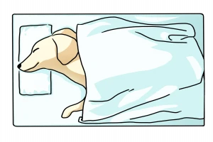 布団で眠っている犬のイラスト