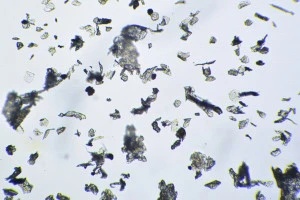 顕微鏡で見たハウスダストの写真