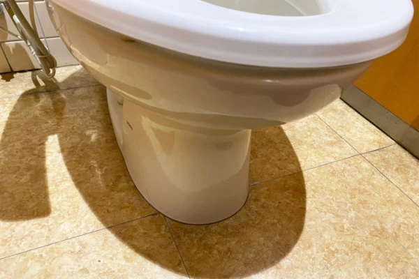 トイレの床に水漏れした時の様子