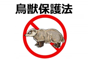 鳥獣保護法のイメージ画像