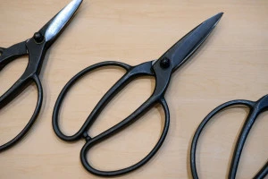 植木バサミの写真