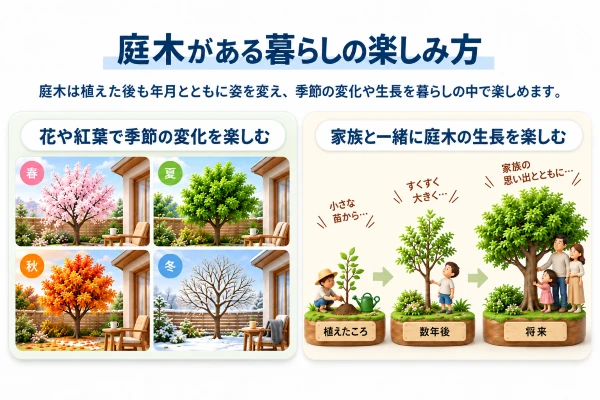 庭木がある暮らしの楽しみ方の画像