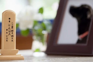 犬の遺影と位牌の写真