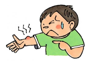 ハチに刺された男の子のイラスト