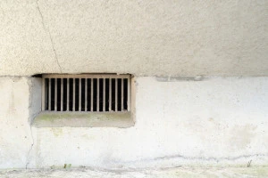 ネズミは昼間どこにいる 現れやすい場所や具体的な駆除方法について Eparkくらしのレスキュー ネズミは昼間どこにいる 現れやすい場所や具体的な駆除方法について Eparkくらしのレスキュー