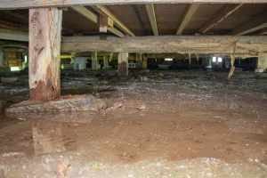 大雨の床下浸水被害の古い日本家屋の写真