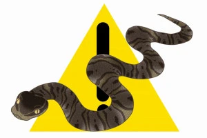 危険生物マムシがいる事を警告するイラスト