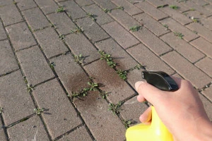液体型除草剤の散布の様子