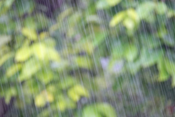 雨が降る様子