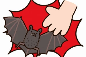 素手でコウモリに触ることを注意するイラスト