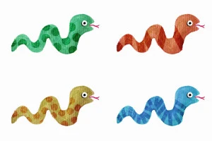 様々な種類の蛇のイラスト