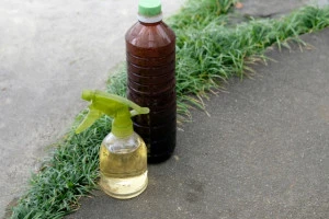 木酢液の写真