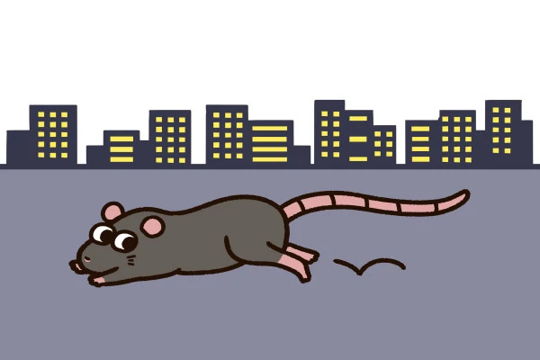 外を走り回っているネズミ