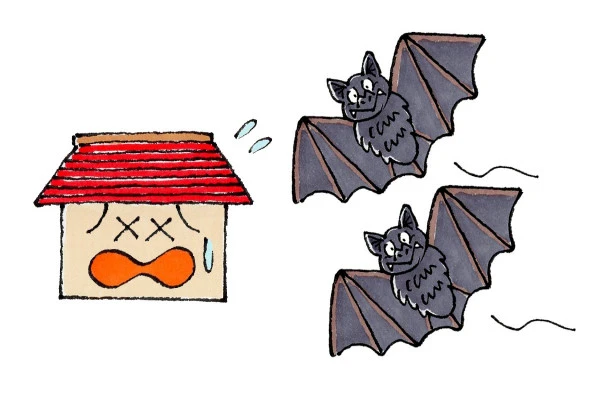 家に侵入するコウモリ(嫌がる家)のイラスト