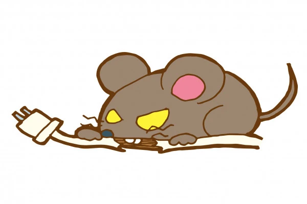 ネズミが配線をかじっている様子