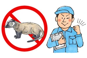 ハクビシン駆除業者のイラスト