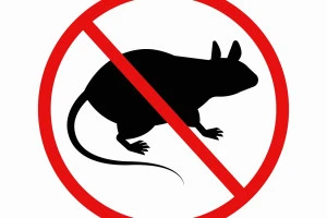 ネズミ駆除のイメージイラスト