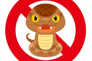 マムシ駆除のイメージ画像
