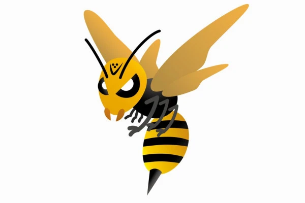 スズメバチのイラスト