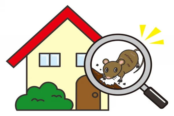 ネズミが家の中にいるのを発見