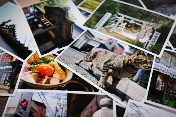 顔写真や当時の思い出の写真