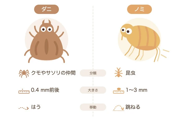 ノミとダニの違いを表したイラスト