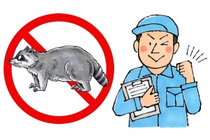 アライグマ駆除業者のイラスト