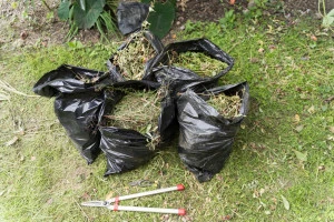 庭の草刈りをしている要津