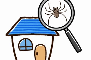 家に侵入したクモの絵