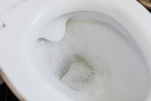 トイレに水が流れている様子