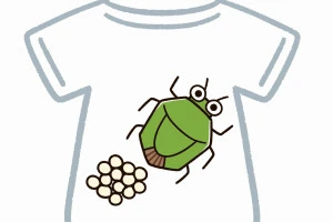 衣類に産卵するカメムシのイラスト
