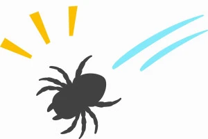 家に侵入したクモの絵