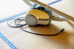 紙パック式の古い掃除機の写真